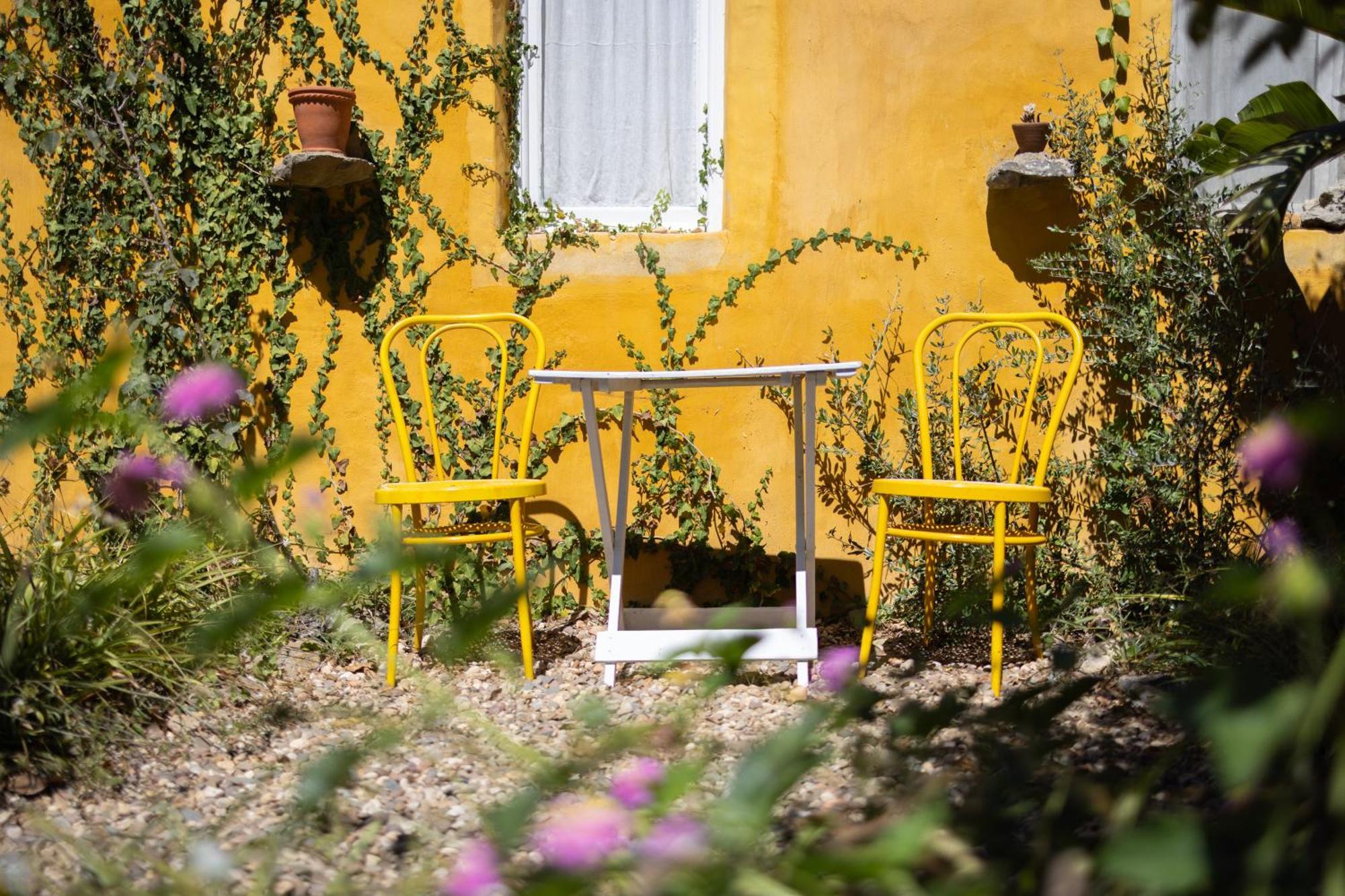 Bed and Breakfast Alma Do Paco Santo Isidoro Exterior foto