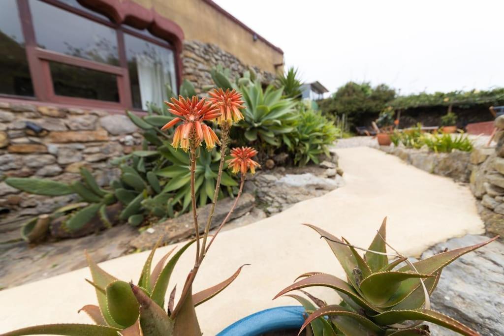Bed and Breakfast Alma Do Paco Santo Isidoro Exterior foto