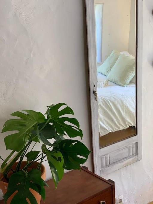 Bed and Breakfast Alma Do Paco Santo Isidoro Exterior foto